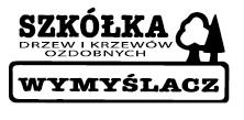 Skółka wymyślacz DUDA LOGO